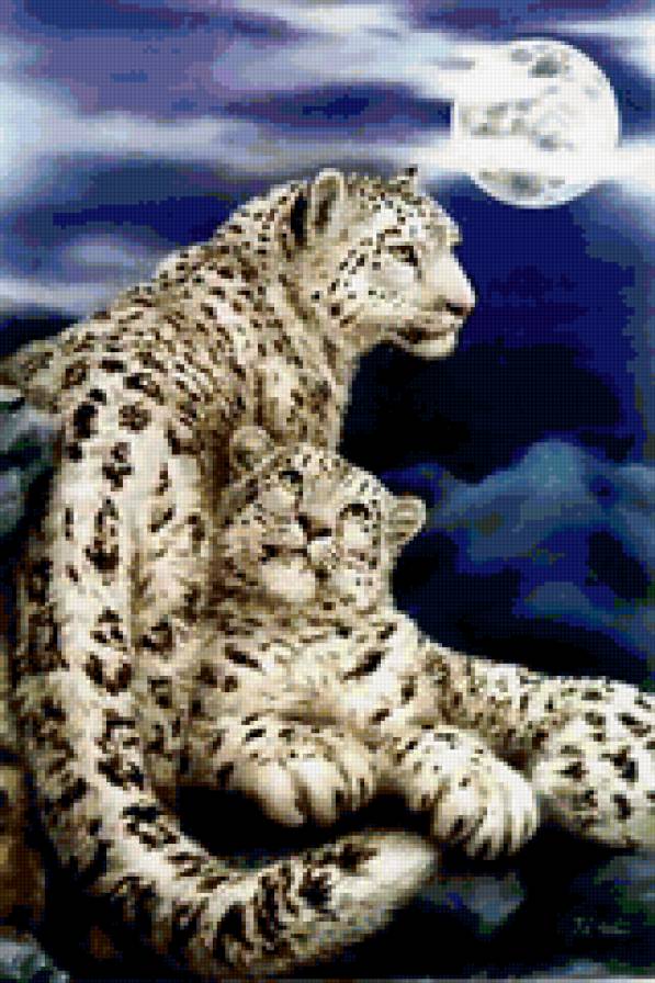 любовь - хищник, хищники, снежный барс, кошки, любовь, барс, пара - предпросмотр