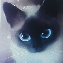 Схема вышивки «голубые глазки»