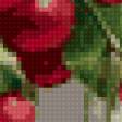 Предпросмотр схемы вышивки «Вишня» (№4846)