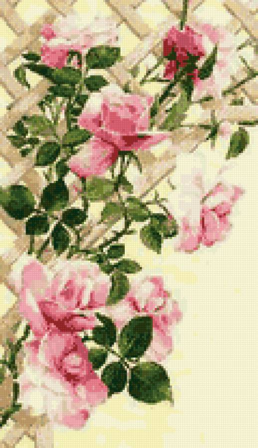 Розы - цветы, натюрморт, розы - предпросмотр