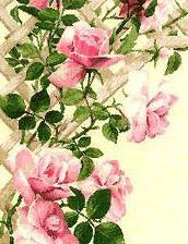 Схема вышивки «Розы»