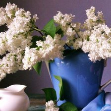 Схема вышивки «Белая сирень»