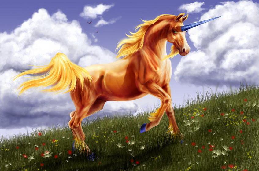 №5052 - лошадь, миф, животные, фэнтези - оригинал