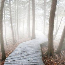 Схема вышивки «Дорога в туман»