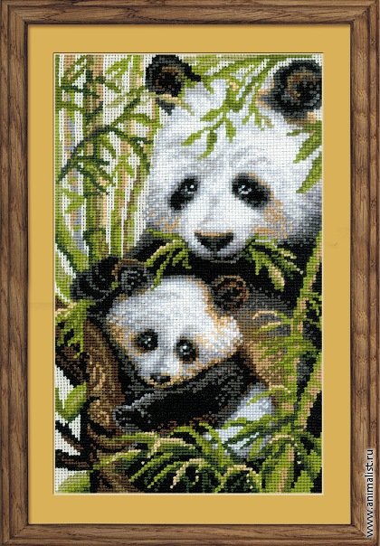 Панды - медведи, пейзаж, животные, панды - оригинал