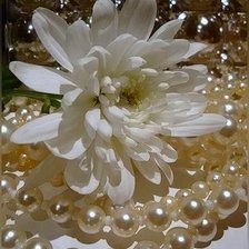 Схема вышивки «Жемчуг»