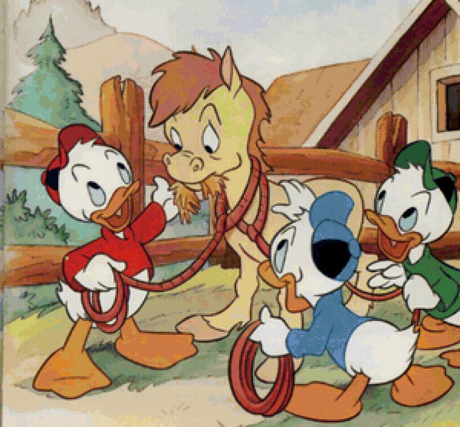 утиные истории - предпросмотр