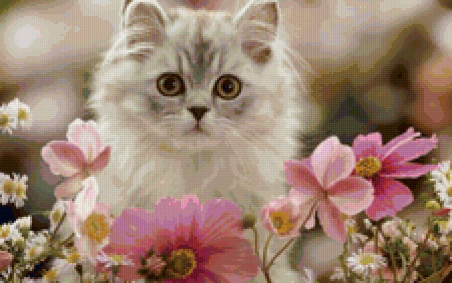 №5424 - кошки, природа, цветы, котята - предпросмотр