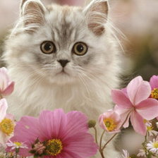 Схема вышивки «№5424»