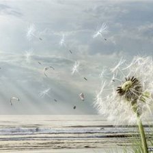 Схема вышивки «Одуванчик»