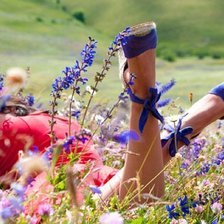 Схема вышивки «№5815»