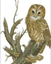 Схема вышивки «сова»