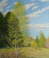 Схема вышивки «березка»