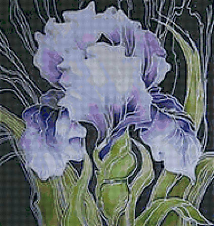 iris - iris - предпросмотр