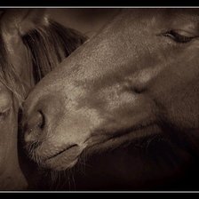 Схема вышивки «№5897»