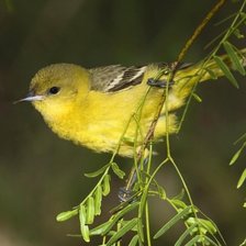 Схема вышивки «№6118»