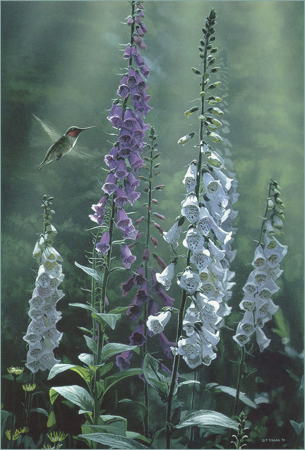 №6186 - оригинал