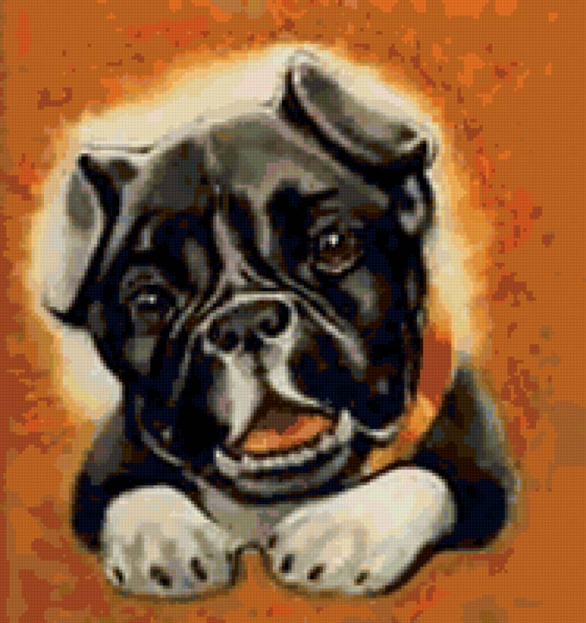 Бульдожка - животные, щенок, собачка, бульдог, собака, собаки - предпросмотр