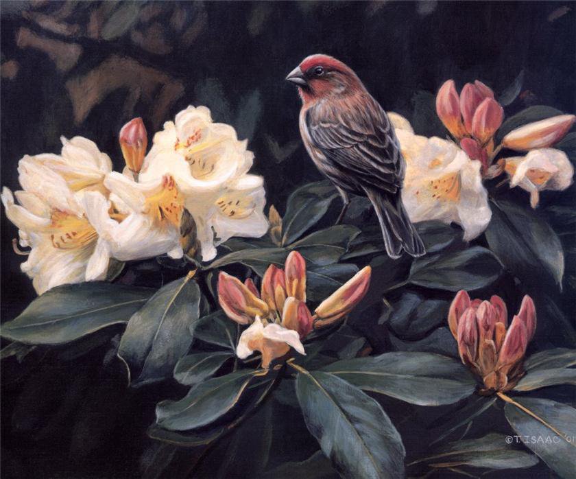 №6193 - оригинал