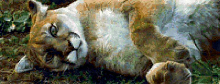 №6213 - предпросмотр