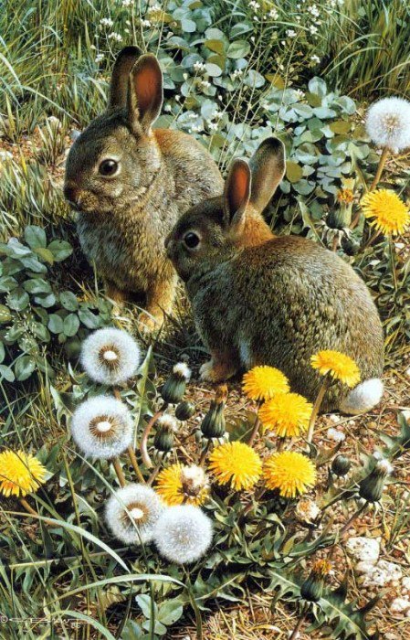 №6225 - оригинал