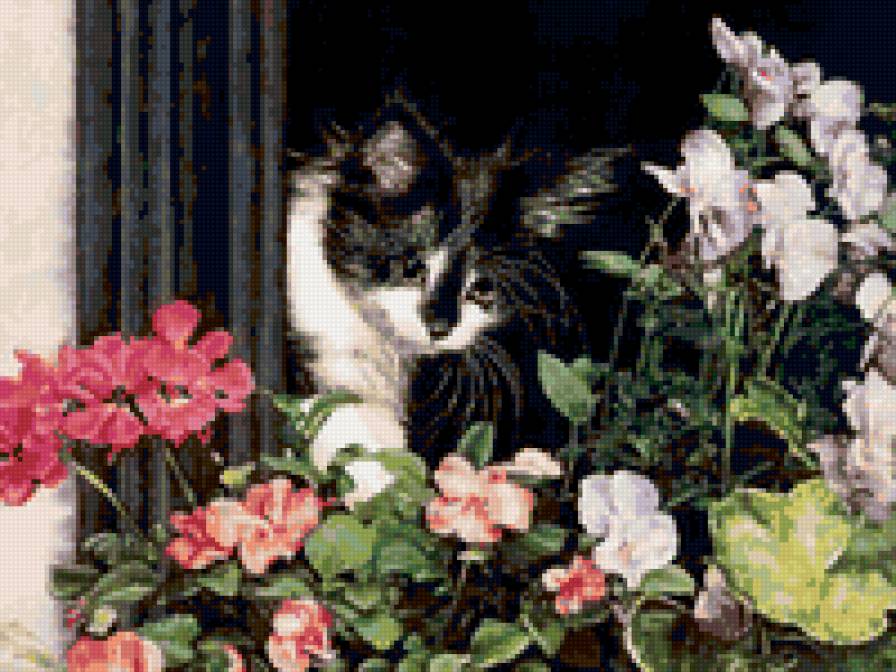 №6255 - предпросмотр