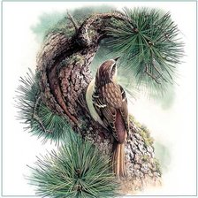 Схема вышивки «№6275»