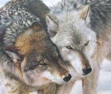 Схема вышивки «волки»