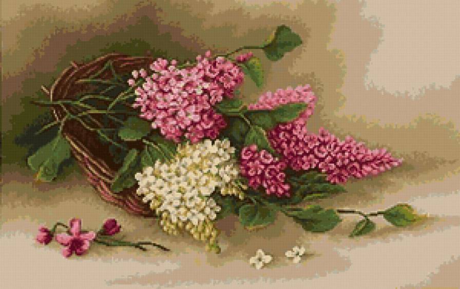 №6385 - цветы, ваза, букет, сирень - предпросмотр