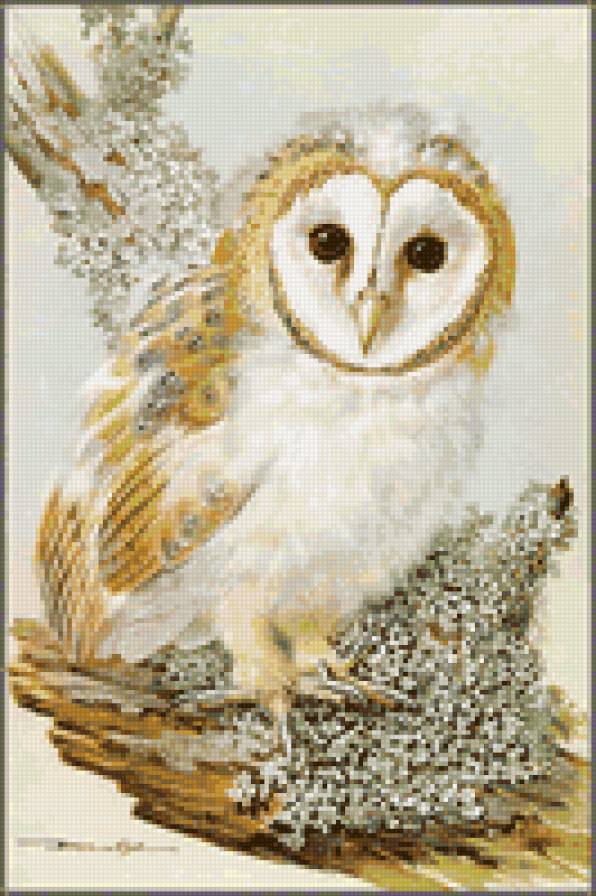 №6390 - предпросмотр