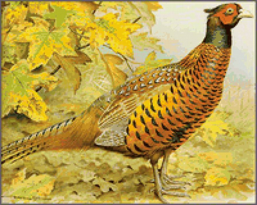 №6403 - предпросмотр