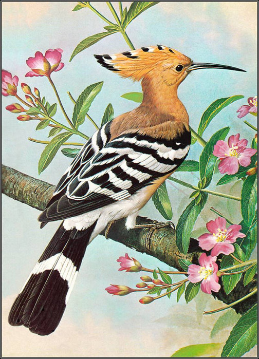 №6408 - оригинал