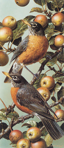 №6530 - птицы - оригинал