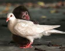 Схема вышивки «подружки»