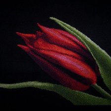 Схема вышивки «Тюльпан»