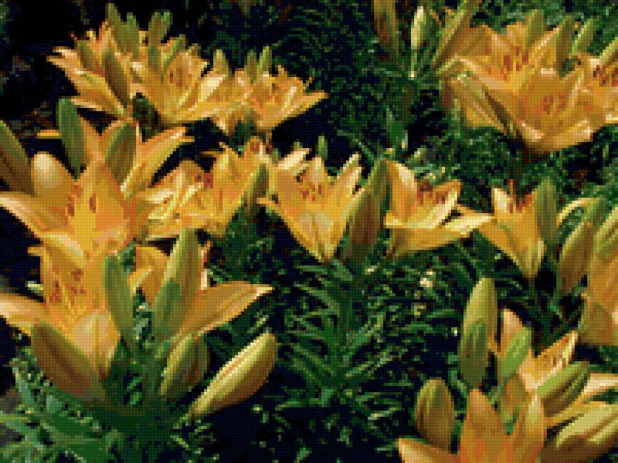 №6615 - предпросмотр