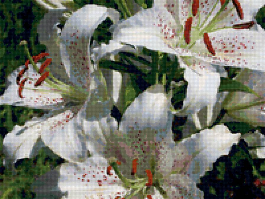 №6616 - предпросмотр