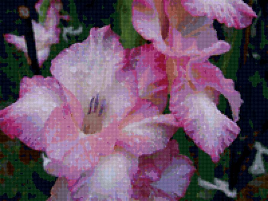 №6621 - предпросмотр