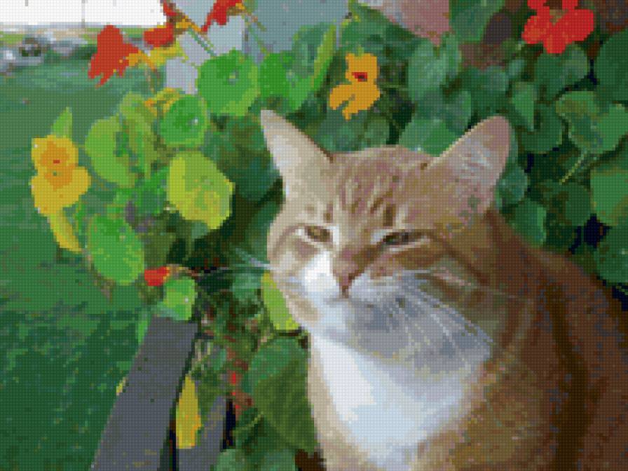 №6626 - предпросмотр