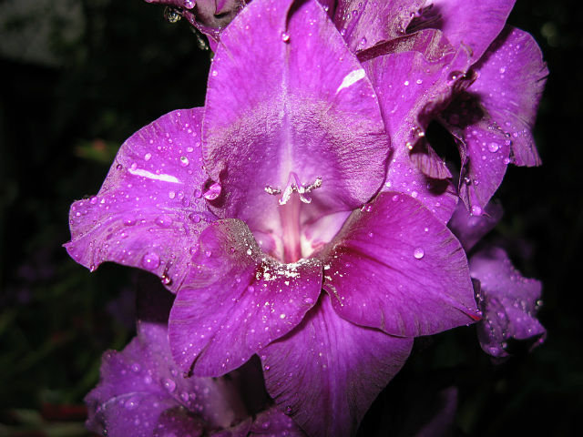 №6632 - оригинал