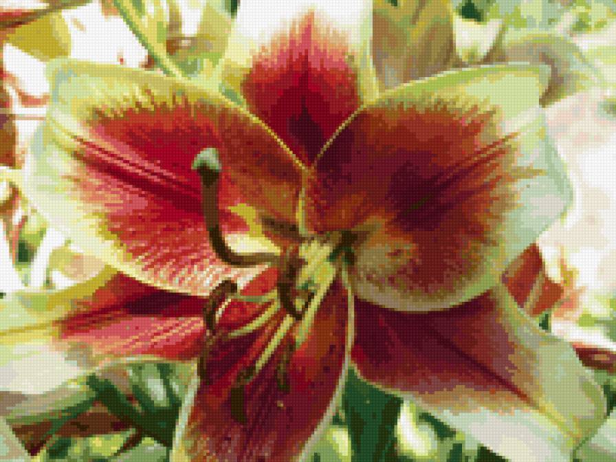 №6641 - предпросмотр