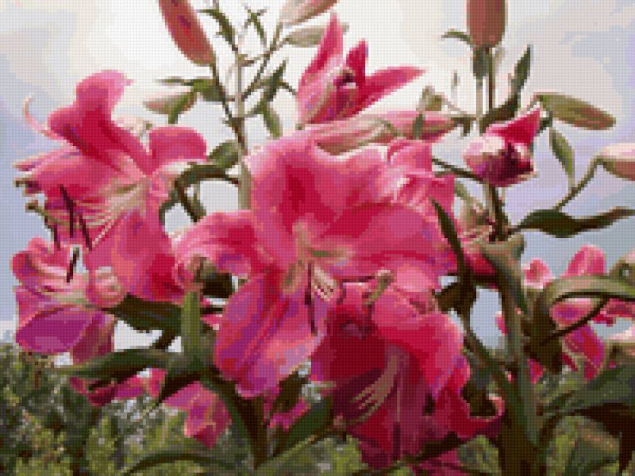 №6643 - предпросмотр