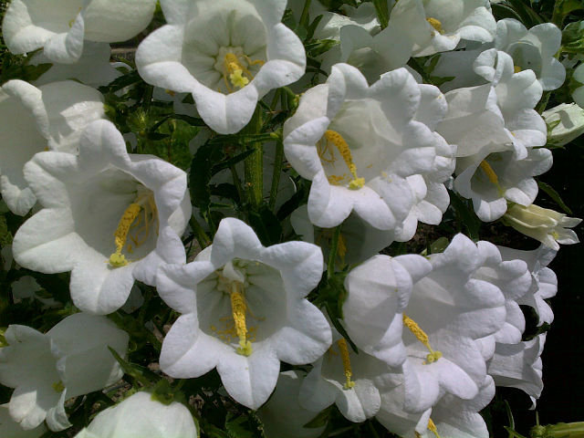 №6647 - оригинал