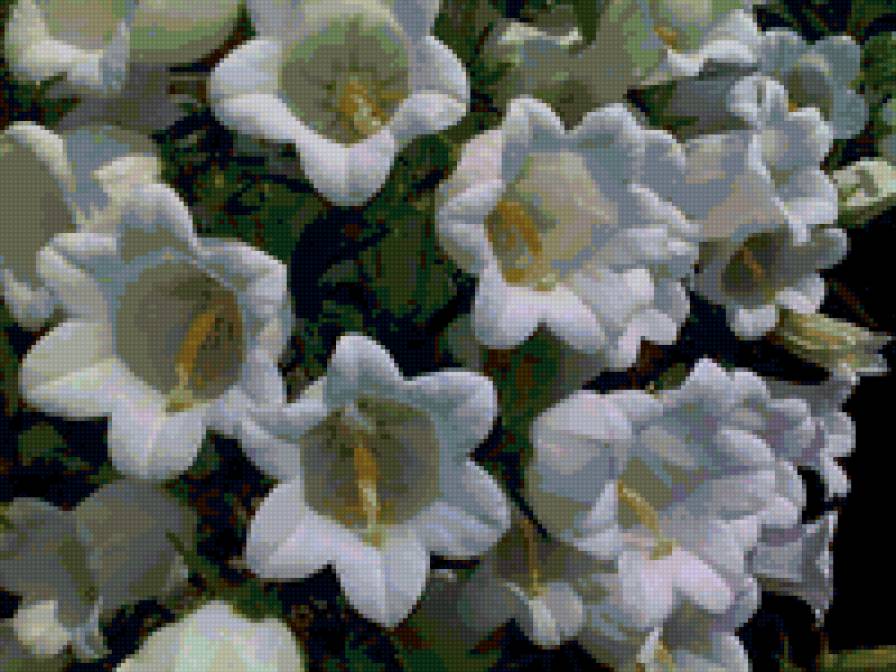 №6647 - предпросмотр