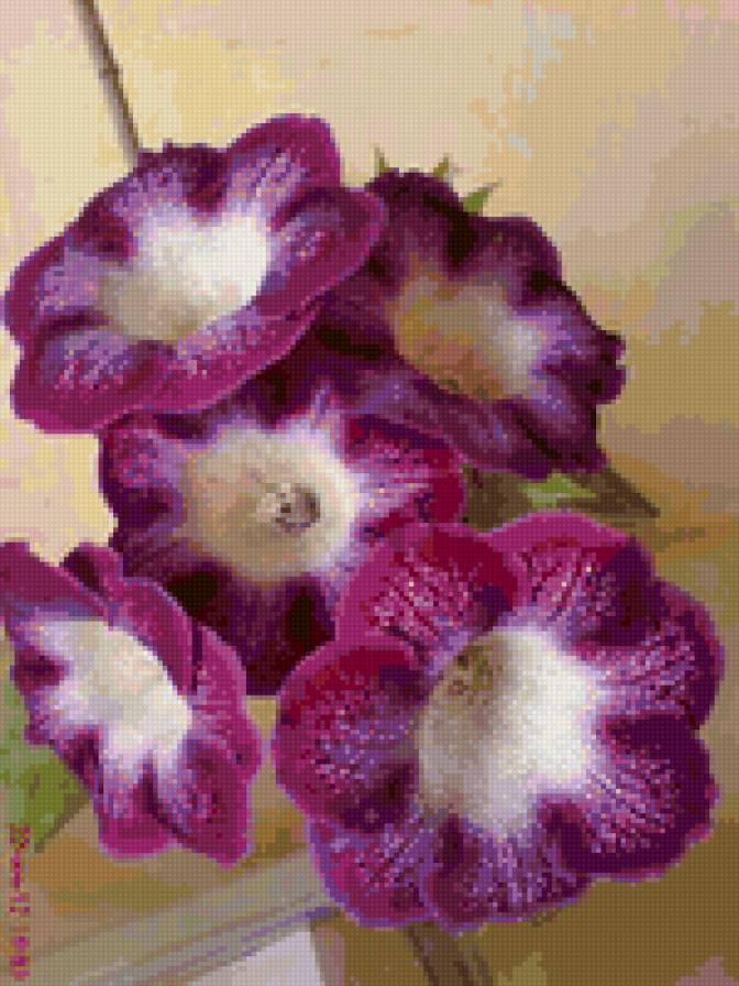 №6648 - предпросмотр