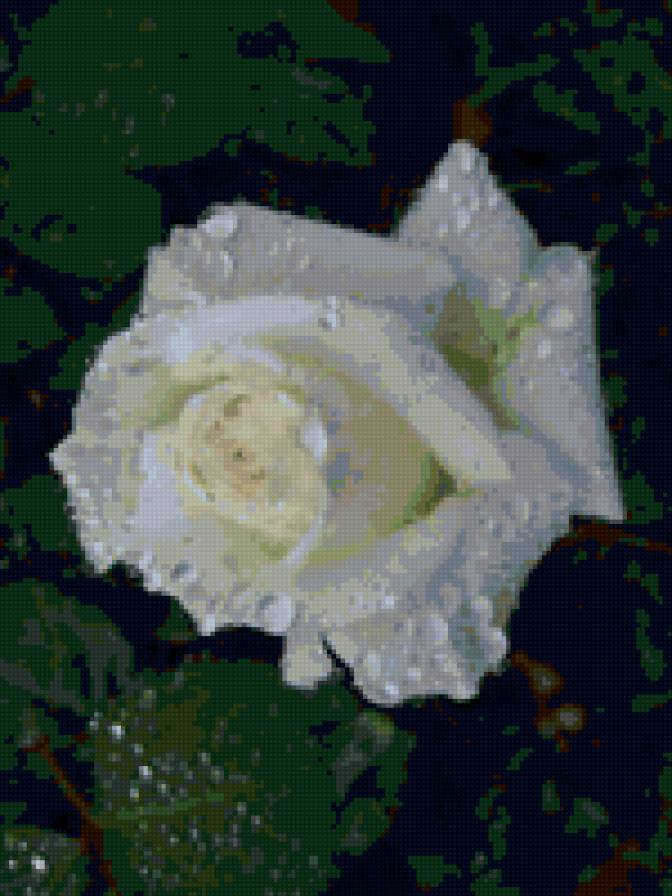 №6653 - предпросмотр