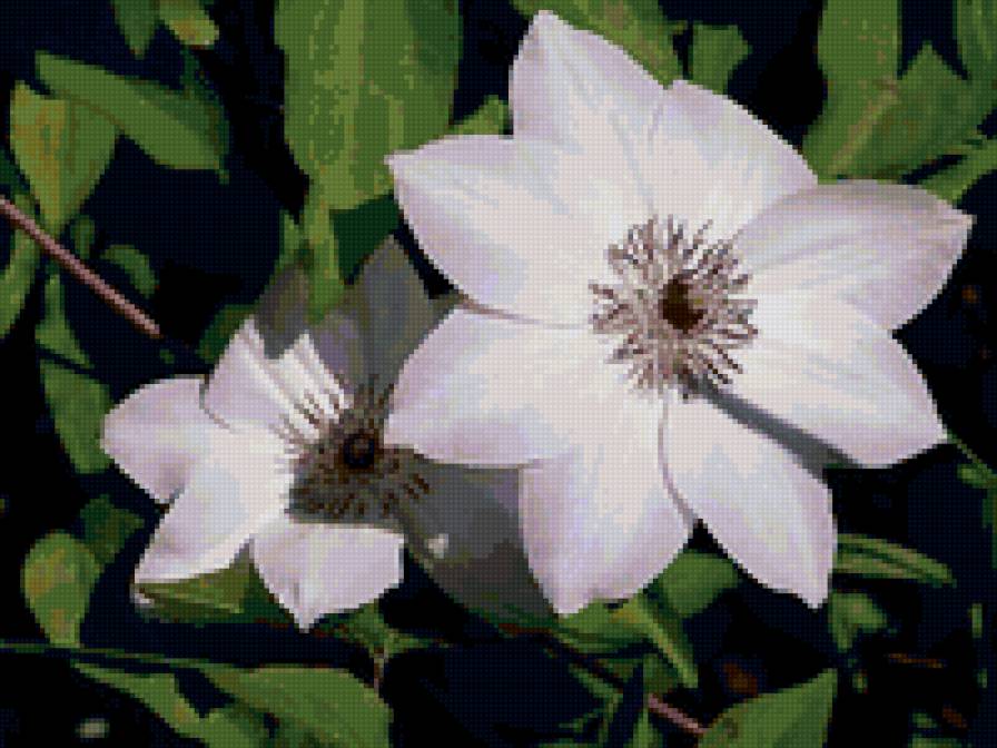 №6667 - предпросмотр