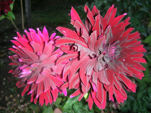 №6669 - оригинал