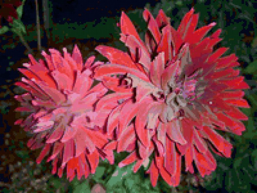 №6669 - предпросмотр