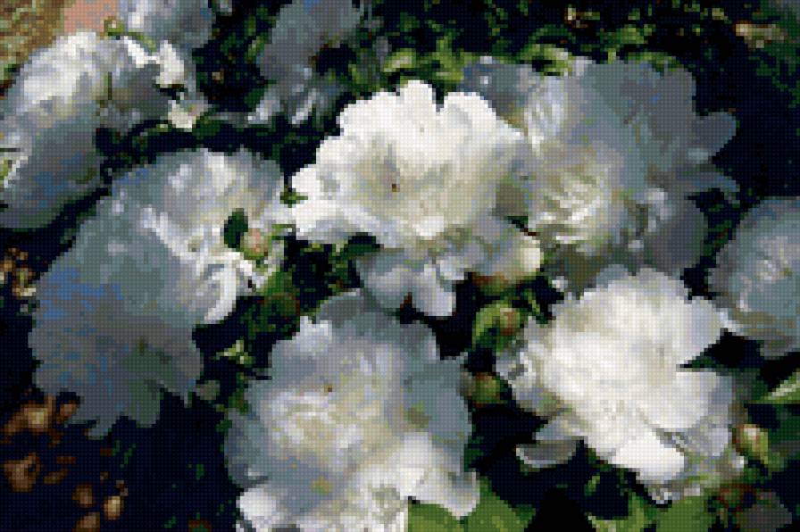 №6683 - предпросмотр